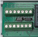 On-Board Wiring Terminal:  